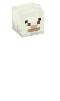 Skinfile