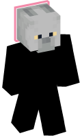 Skinfile