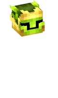 Skinfile