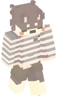 Skinfile