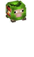 Skinfile