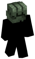 Skinfile