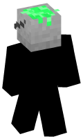 Skinfile