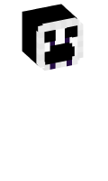 Skinfile