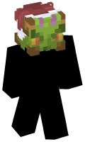 Skinfile