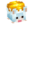 Skinfile