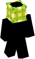 Skinfile