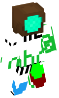Skinfile