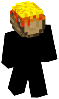 Skinfile