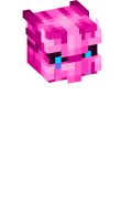 Skinfile