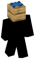 Skinfile