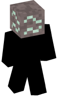 Skinfile