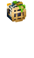 Skinfile