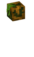 Skinfile
