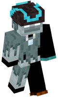Skinfile