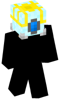 Skinfile