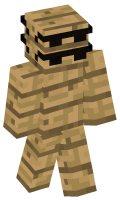 Skinfile