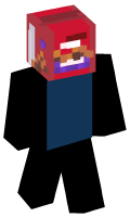 Skinfile