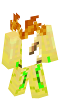 Skinfile