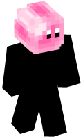 Skinfile