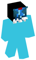 Skinfile