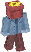 Skinfile