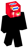 Skinfile