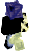 Skinfile