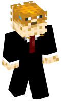 Skinfile