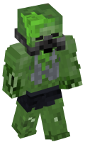 Skinfile