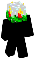 Skinfile