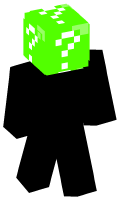 Skinfile