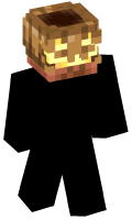 Skinfile
