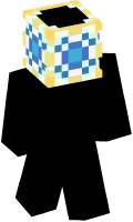 Skinfile