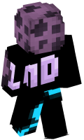 Skinfile