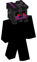 Skinfile