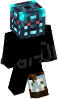 Skinfile