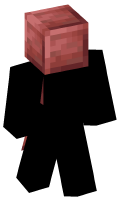Skinfile