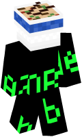 Skinfile