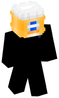 Skinfile