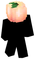 Skinfile