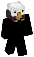 Skinfile