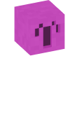 Skinfile
