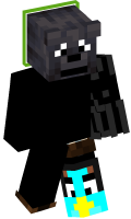Skinfile