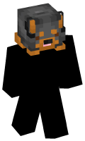 Skinfile
