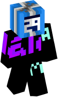 Skinfile