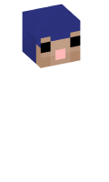 Skinfile