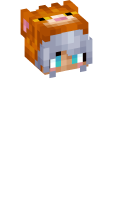 Skinfile