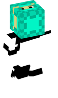 Skinfile