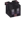 Skinfile